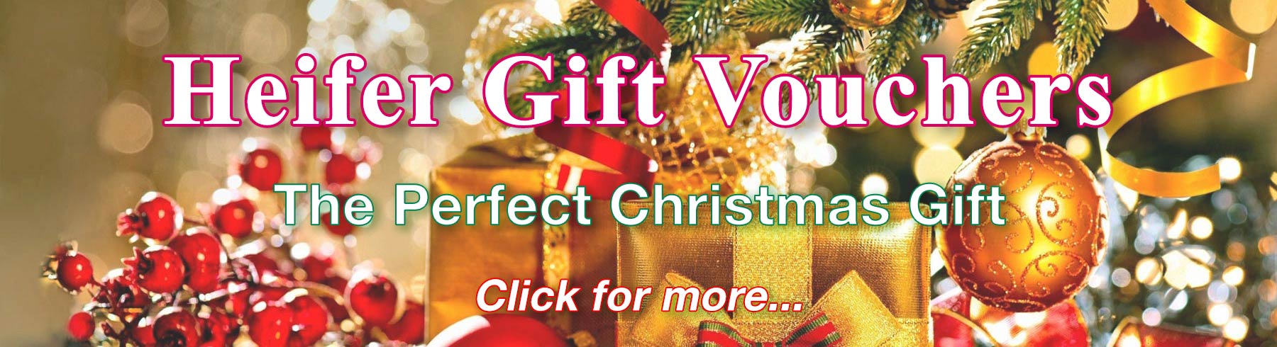 Heifer Gift Vouchers